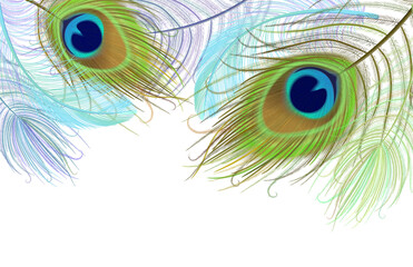 Peacock feather realistic in boho style. Luxury design.