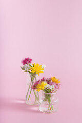 Miniature vases with wildflowers on a pink background with copy space for congratulations on March 8, Easter, Mother's Day