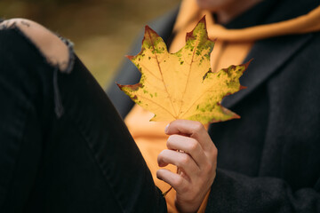 Handsome guy holding autumn leave in the park