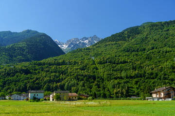 Obraz premium Vineyards along the Sentiero della Valtellina, Italy, from the cycleway