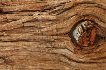 wood texture