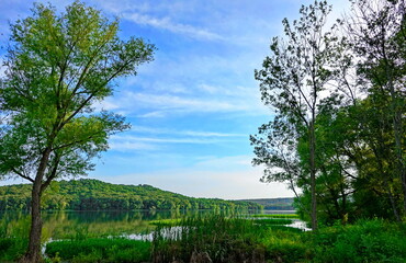 Obraz premium springtime at the lake
