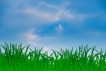 Green grass and blue sunny sky spring landscape. Perfect for backgrounds