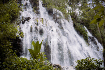 Waterfall in the middle of a forest
