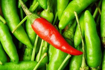 Top view of one red hot chili pepper among a lot of green