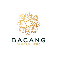 Luxury vector logotype . Premium letter B logo with golden design. Elegant corporate identity.