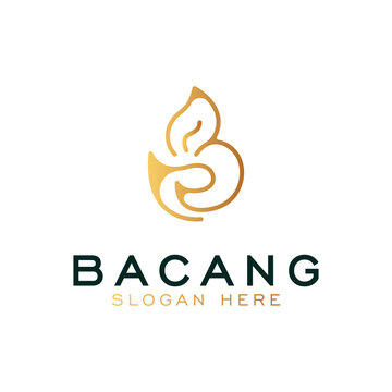 Luxury vector logotype . Premium letter B logo with golden design. Elegant corporate identity.