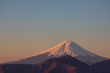 Fototapeta premium 朝の富士山 雲取山より