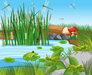Viele grüne Frösche und Libelle in der Teichszene © blueringmedia