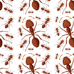 Red ant seamless background