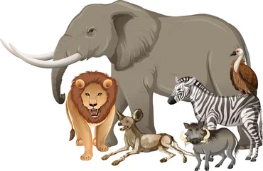 Gruppe wilder afrikanischer Tiere auf weißem Hintergrund © blueringmedia