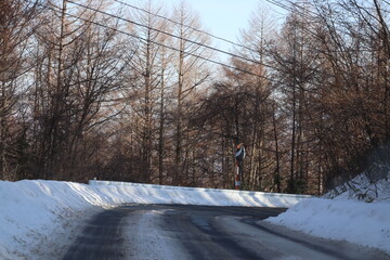 雪道の道路をドライブ
