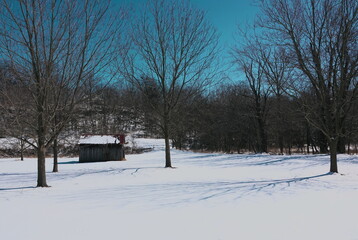 Fototapeta na wymiar shack in the snow