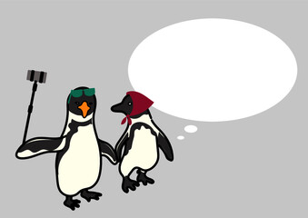 自撮りペンギングレー