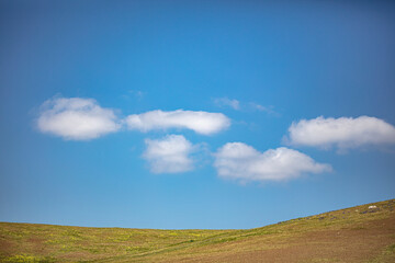 An outside photograph of clean air and blue sky representing a healthy enviornment.