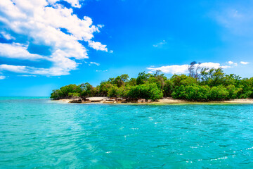 The tropical beauty of Cuba