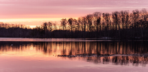 Pink Sunrise Over a Tree Lined Calm Lake with Reflections in Panoramic
