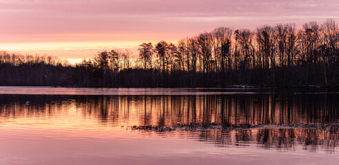 Obraz premium Pink Sunrise Over a Tree Lined Calm Lake with Reflections in Panoramic