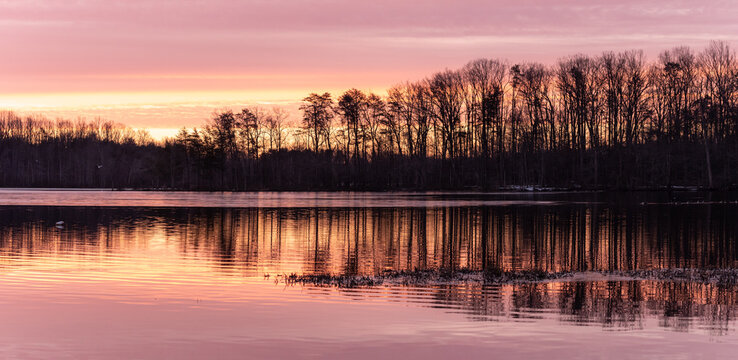 Pink Sunrise Over a Tree Lined Calm Lake with Reflections in Panoramic © Linda