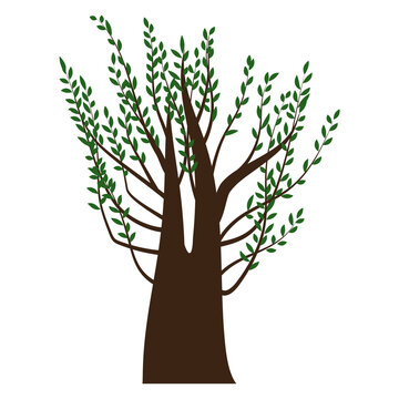 recommend clip art: A tree with green leaves. Thick tree. A plant with a brown trunk. Nature illustration. Stock image.