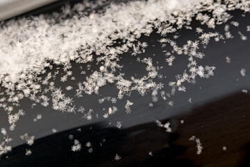snowflakes lie on the dark surface of the car visor