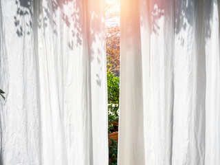 White translucent curtain with sunlight.