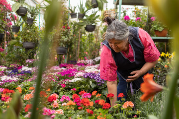 Portrait of a Mexican woman  in nursery Xochimilco, Mexico