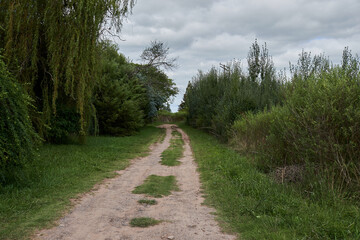 Dirt road between vegetation with curve at the end