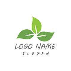 Leaf icon Vector Illustration design Logo template