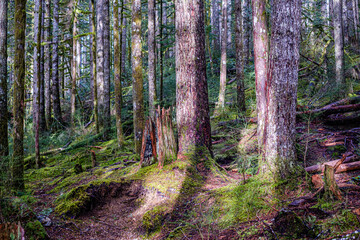 Wallace Falls State Park