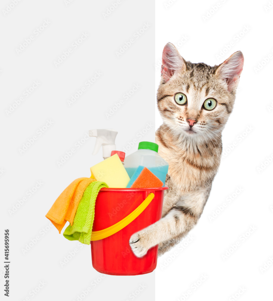 Poster Cleaning concept. Cat looks from behinde empty white banner and holds bucket with  washing fluids and rags in it paws. isolated on white background. Empty space for text