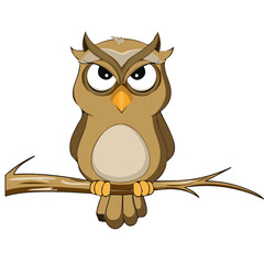 Owl vector illustration