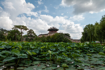 A view of a pond with a pavilion and lotus flowers on a summer day