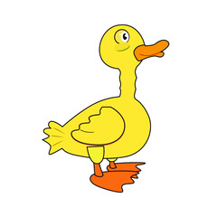 Little yellow duck vector