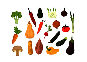 Various vegetable food vector