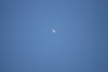 kite in flight