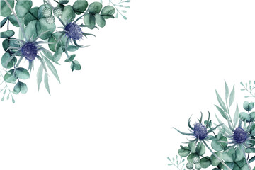 Beautiful thistle flower and eucalyptus leaves floral background