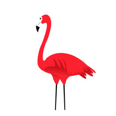 Red crowned crane vector