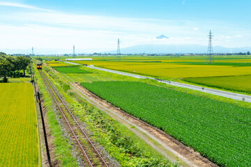 【青森県津軽地方】津軽の水田地帯と岩木山