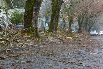 A view down a residential street littered with tree limbs and branches caused by storm damage