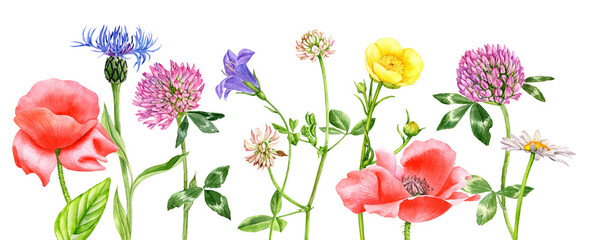 Aquarellzeichnung rote Mohnblumen © cat_arch_angel