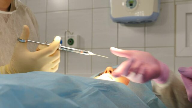 Assistant gives medical dental tool To surgeon while performing surgical intervention. Dental clinic. Nurse giving and dentist taking syringe to anesthetize female patient. Modern dental office. 4 k