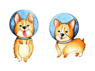 Watercolor set of cute little corgi puppies in a spacesuit. Red-haired astronaut dog. Corgi in orbit. Children's funny picture. Isolated over white background. Drawn by hand.