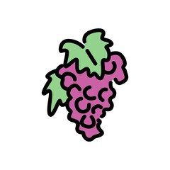 Grapes vector icon isolated on white background. Hand drawn vector illustration