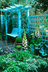 Seat under pergola in an Urban garden with flowers and plants