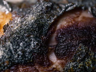 Closeup of fish skin