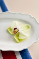Close up of orchid on white plate