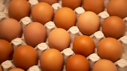 Close up raw brown packing fresh eco friendly organic chicken eggs cardboard set paper package tray shop supermarket grocery farm factory counter industry poultry conveyor shelf. Food cooking products