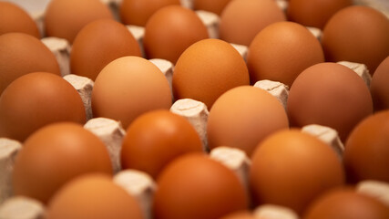 Close up raw brown packing fresh eco friendly organic chicken eggs cardboard set paper package tray shop supermarket grocery farm factory counter industry poultry conveyor shelf. Food cooking products