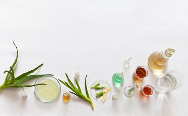 Fototapeta na wymiar Chemical and biochemical research. Laboratory glassware with chemicals and aloe plant. The use of natural organic extracts in cosmetology and medicine. Green cosmetics concept. Flat lay, copy space